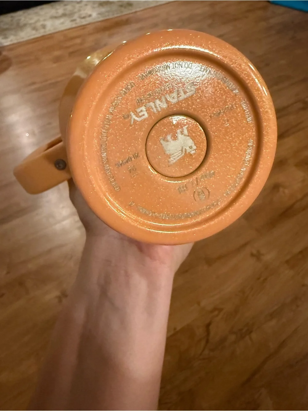 Stanley insulated travel